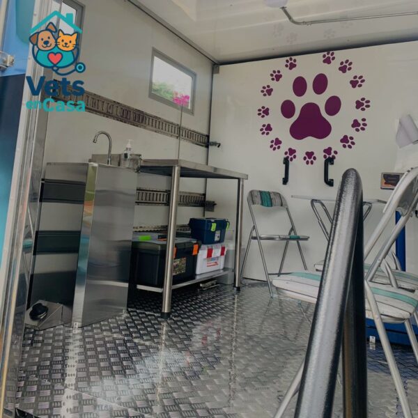 Consulta Veterinaria - Image 2