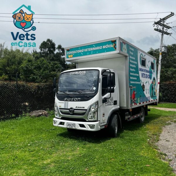 Consulta Veterinaria