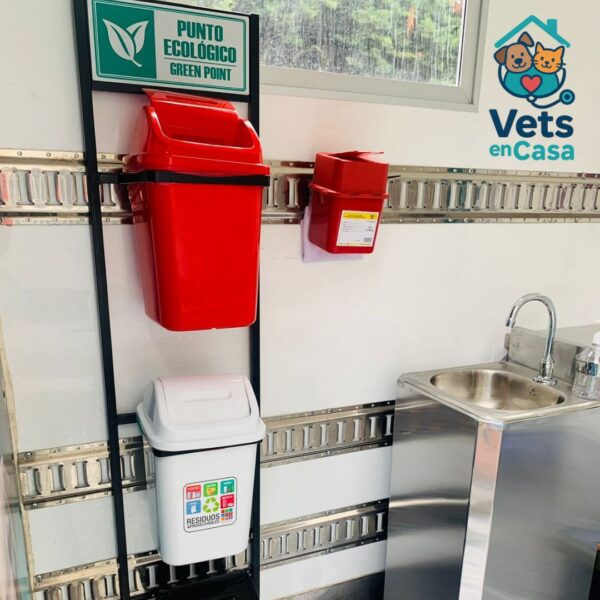 Consulta Veterinaria - Image 4