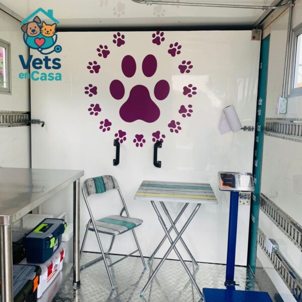 Consulta Veterinaria - Image 5