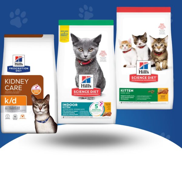 HILL'S GATOS