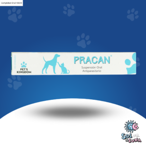 Pracan