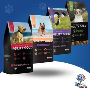AGILITY PERROS